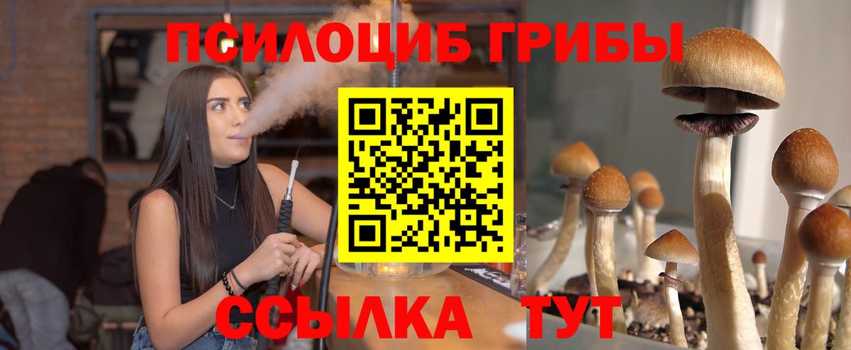 Псилоцибиновые грибы Magic Shrooms  Вход с VPN  Ликино-Дулёво  Псилоцибиновые грибы Magic Shrooms 
